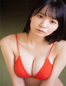寻情记2022