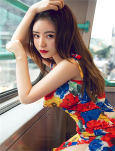 虎胆龙威之迷惘